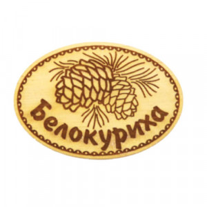 Шишки №1 С Регионом(Магнит)